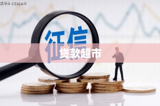 疏勒贷款超市