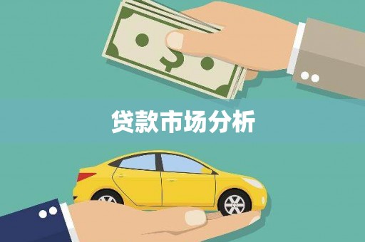 疏勒贷款市场分析