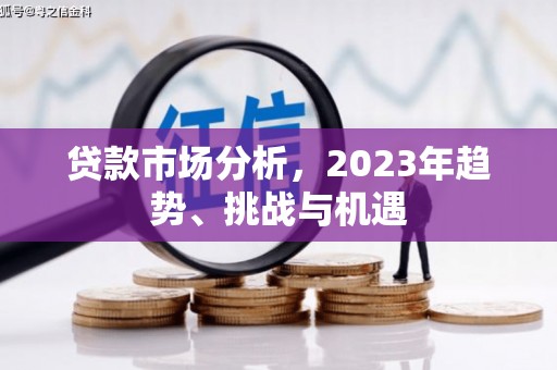 疏勒贷款市场分析，2023年趋势、挑战与机遇