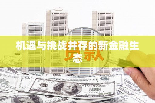 疏勒机遇与挑战并存的新金融生态