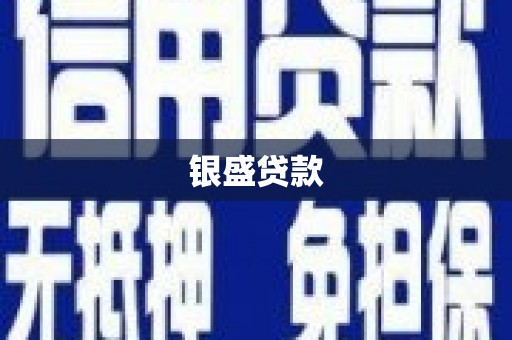 疏勒银盛贷款
