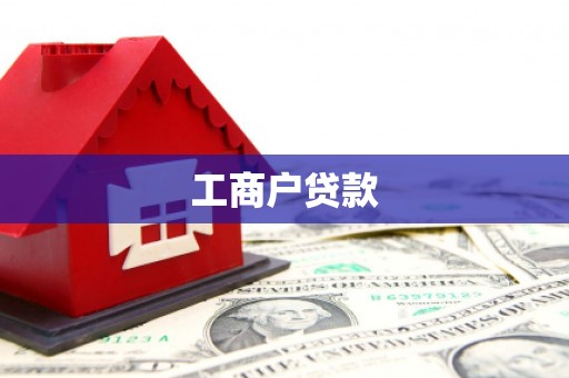 疏勒工商户贷款