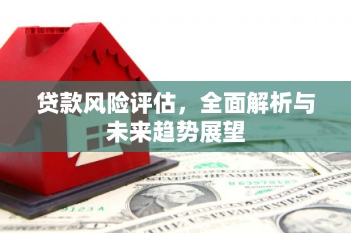 疏勒贷款风险评估，全面解析与未来趋势展望