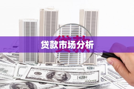 疏勒贷款市场分析