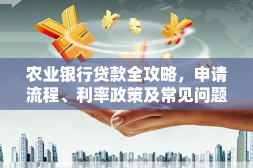疏勒农业银行贷款全攻略，申请流程、利率政策及常见问题解析