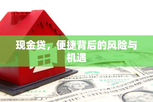 疏勒现金贷，便捷背后的风险与机遇