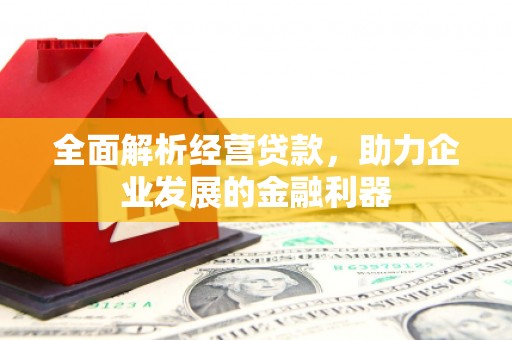 疏勒全面解析经营贷款，助力企业发展的金融利器