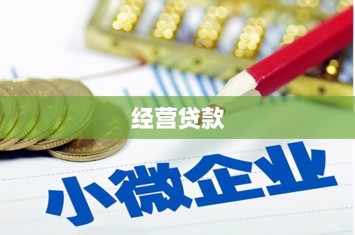 疏勒经营贷款