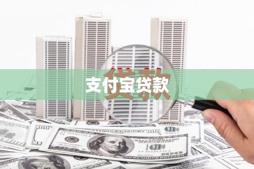 疏勒支付宝贷款