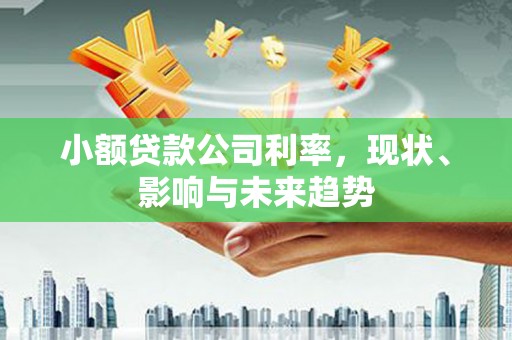 疏勒小额贷款公司利率，现状、影响与未来趋势