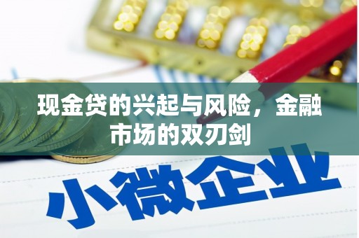 疏勒现金贷的兴起与风险，金融市场的双刃剑
