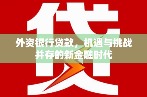 疏勒外资银行贷款，机遇与挑战并存的新金融时代