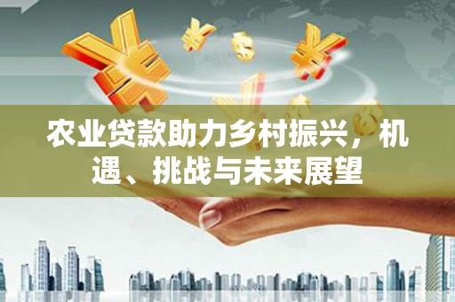 疏勒农业贷款助力乡村振兴，机遇、挑战与未来展望