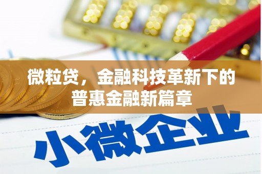 疏勒微粒贷，金融科技革新下的普惠金融新篇章