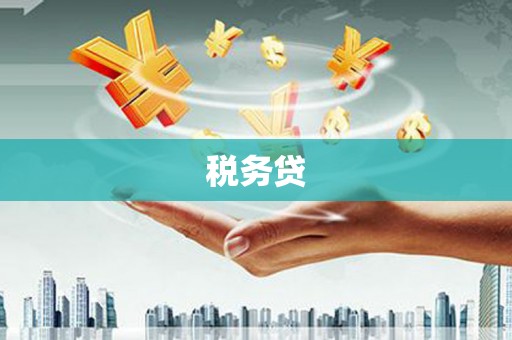 疏勒税务贷