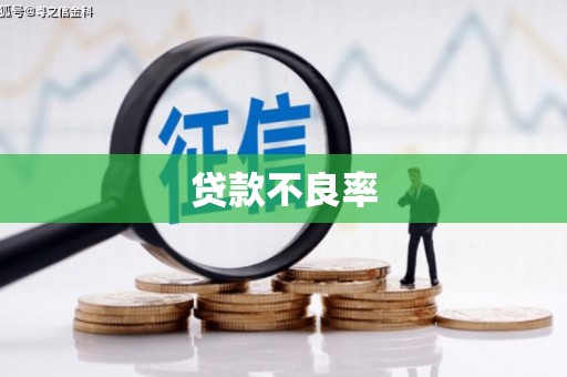 疏勒贷款不良率