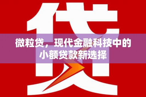 疏勒微粒贷，现代金融科技中的小额贷款新选择