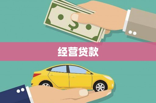 疏勒经营贷款