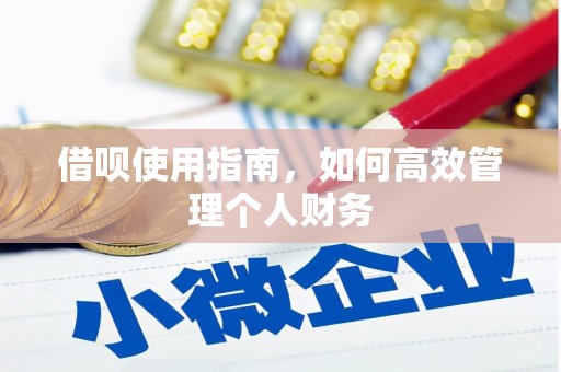 疏勒借呗使用指南，如何高效管理个人财务