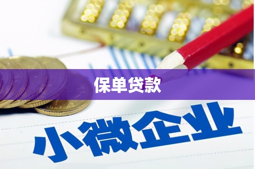 疏勒保单贷款