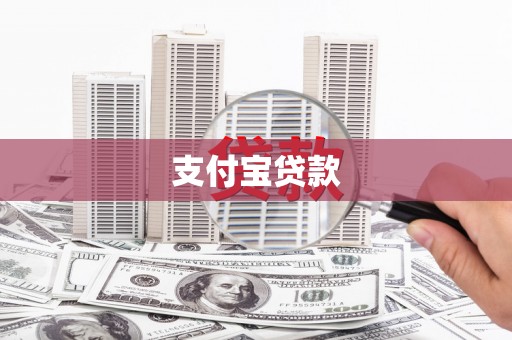 疏勒支付宝贷款