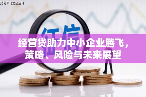 疏勒经营贷助力中小企业腾飞，策略、风险与未来展望