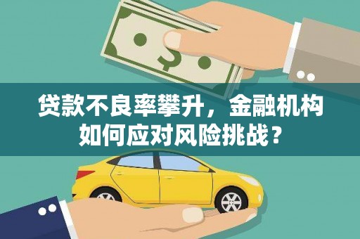 疏勒贷款不良率攀升，金融机构如何应对风险挑战？