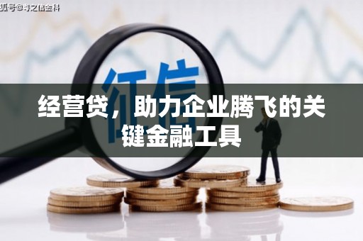 疏勒经营贷，助力企业腾飞的关键金融工具