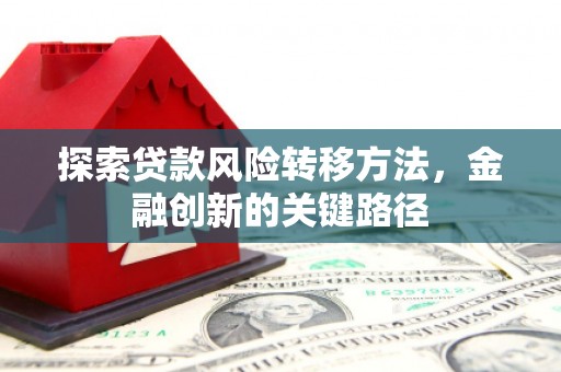疏勒探索贷款风险转移方法，金融创新的关键路径