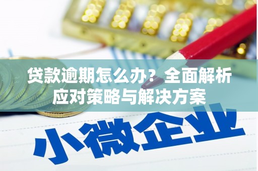 疏勒贷款逾期怎么办？全面解析应对策略与解决方案