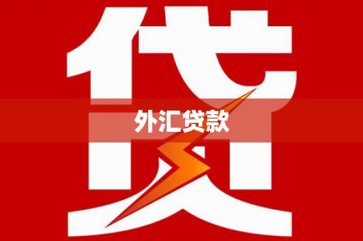 疏勒外汇贷款