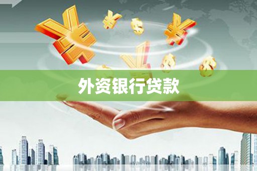 疏勒外资银行贷款