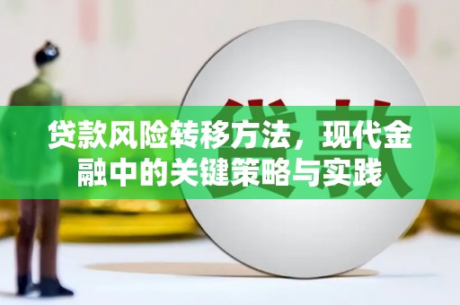 疏勒贷款风险转移方法，现代金融中的关键策略与实践