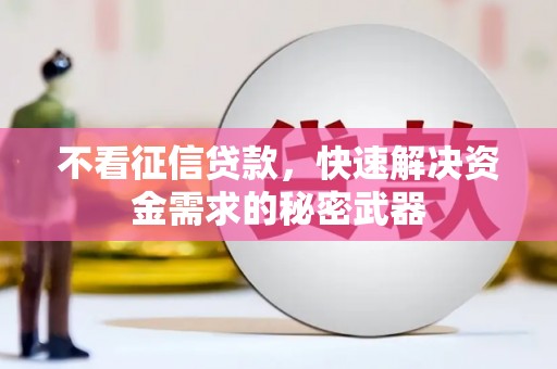 疏勒不看征信贷款，快速解决资金需求的秘密武器
