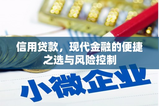 疏勒信用贷款，现代金融的便捷之选与风险控制