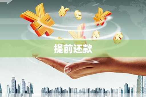 疏勒提前还款