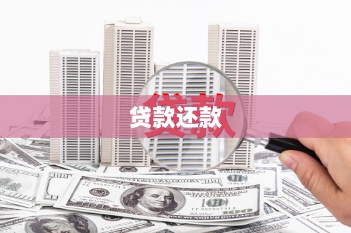 疏勒贷款还款