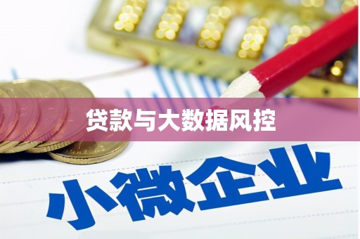 疏勒贷款与大数据风控