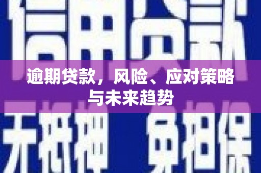 疏勒逾期贷款，风险、应对策略与未来趋势