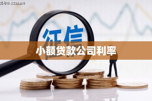 疏勒小额贷款公司利率
