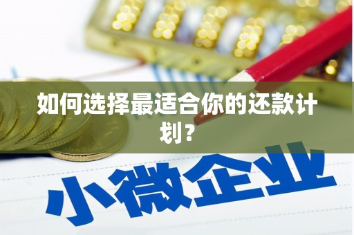 疏勒如何选择最适合你的还款计划？