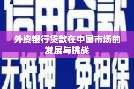 疏勒外资银行贷款在中国市场的发展与挑战