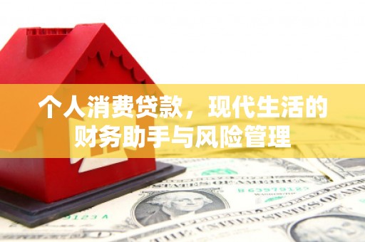 疏勒个人消费贷款，现代生活的财务助手与风险管理