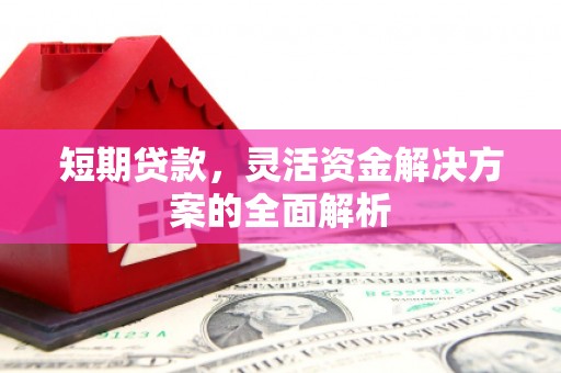 疏勒短期贷款，灵活资金解决方案的全面解析