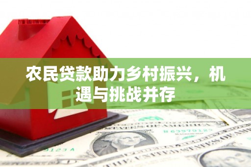 疏勒农民贷款助力乡村振兴，机遇与挑战并存