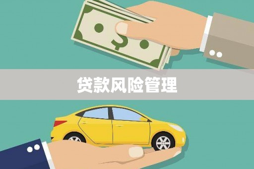 疏勒贷款风险管理