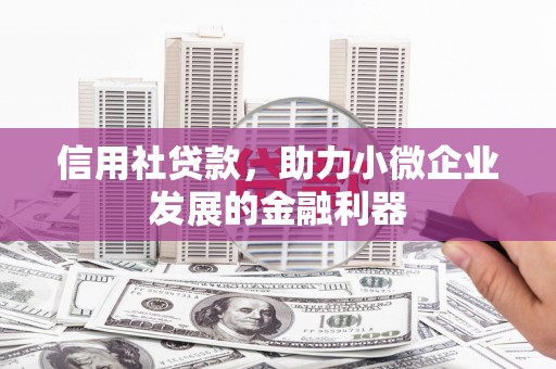 疏勒信用社贷款，助力小微企业发展的金融利器