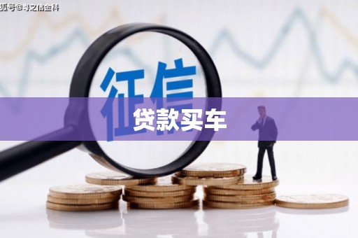 疏勒贷款买车