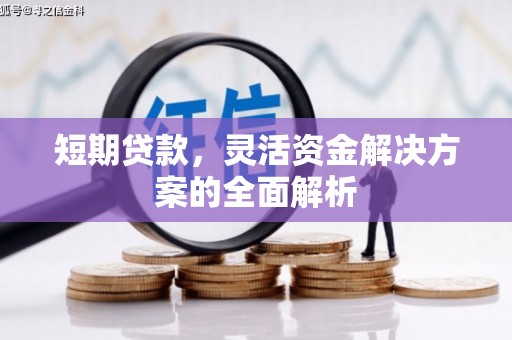 疏勒短期贷款，灵活资金解决方案的全面解析