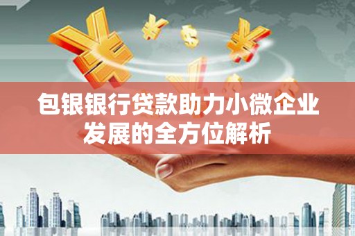 疏勒包银银行贷款助力小微企业发展的全方位解析
